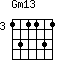 Gm13=131131_3
