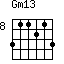 Gm13=311213_8