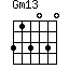 Gm13=313030_1