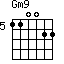 Gm9=110022_5