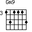 Gm9=131113_3