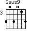 Gsus9=303013_3