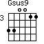 Gsus9=330011_3