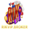 rikvipbroker