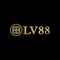 lv88agency