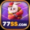 7ssnetbr