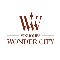vinwondercity