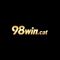 98wincat