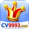 cv9993