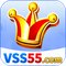 vss55