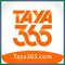 taya3659287