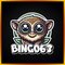 bingo63