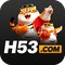 h53