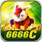 ip6666c