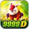 ir9999d