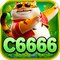c6666