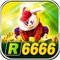 r6666