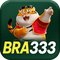bra33