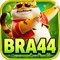 bra44