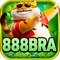 dq888bra