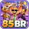 wb85br