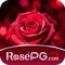 rosepg