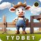 tydbet61
