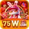 ut75w