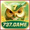 ws737game