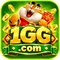 dt1gg