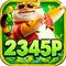 yz2345p