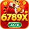 rs6789x
