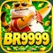 br9999