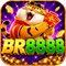 br8888207