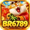 br6789870