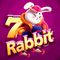 7rabbit