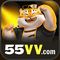 55vv