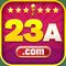 23a