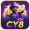 cy809