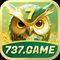 737game