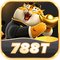 dw788t