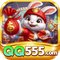 qq555940