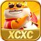 xcxc13
