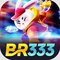 br3333826