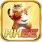hhee63