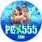 pgx555535