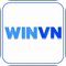 winvn45