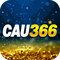 cau3667429