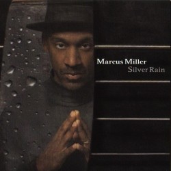 Silver Rain