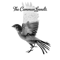 The Common Linnets
